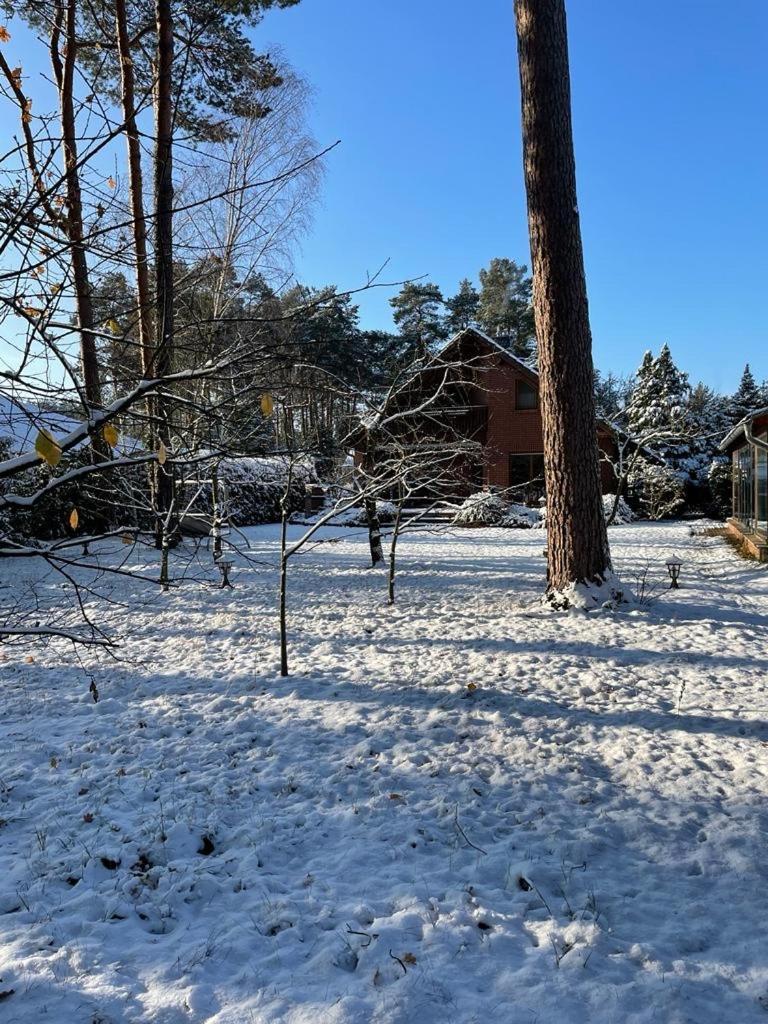 Auf Der Heide Villa Borkheide Екстериор снимка